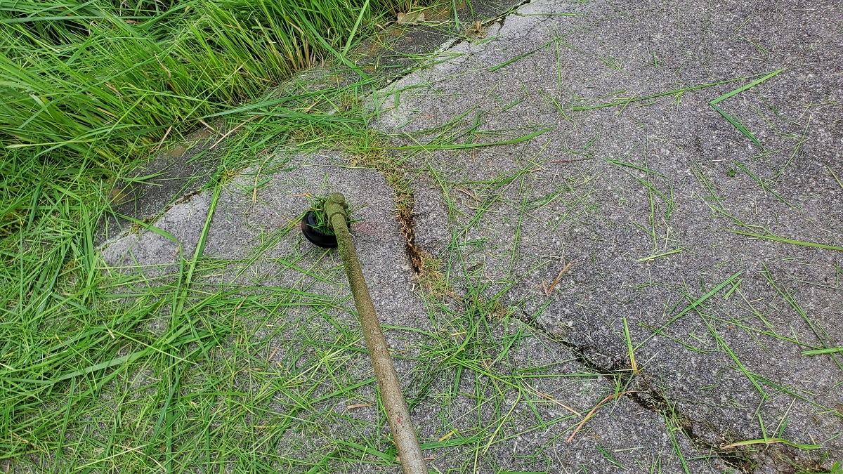 グリーンランド・芝刈り・ナイロンカッター・地際・アイキャッチ
